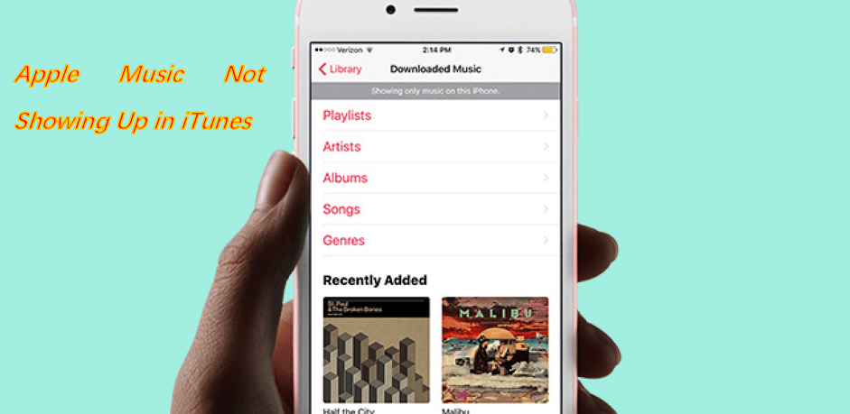 如何修复 Apple Music 没有出现在 iTunes 中
