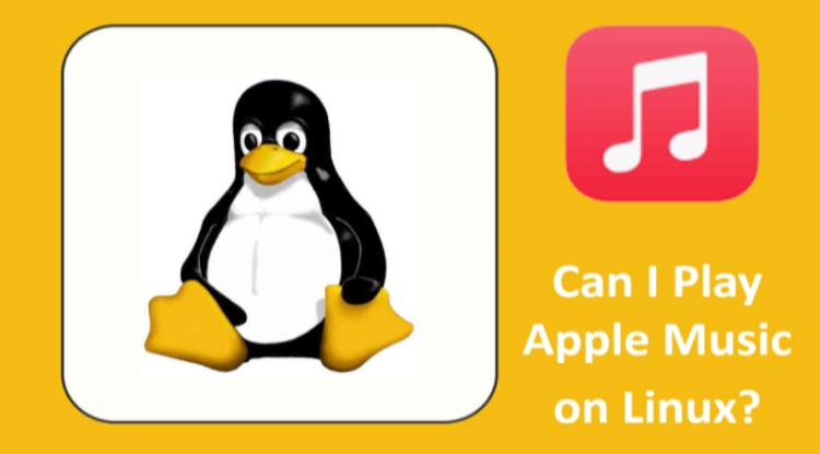 我可以在 Linux 上播放 Apple Music