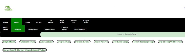 Platforma internetowa TrendyBeatz